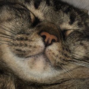 Meet your Posher, Adara